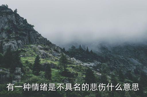 不愿具名是什么意思，有一種情緒是不具名的悲傷什么意思