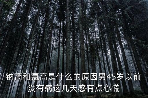 鈉高和氯高是什么的原因男45歲以前沒有病這幾天感有點心慌