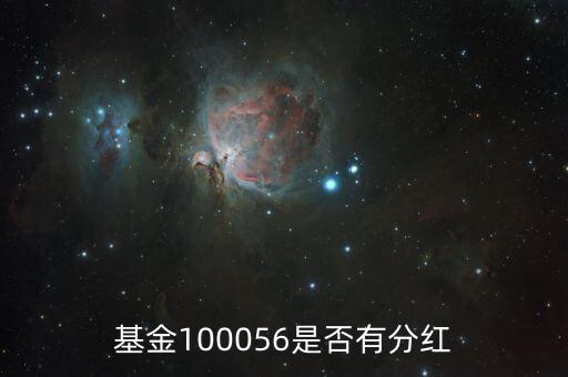 基金100056投什么股票，100056基金屬于那種股票