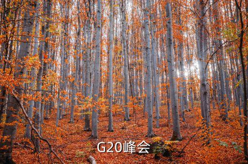 G20峰會