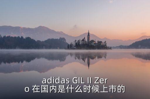 adidas GIL II Zero 在國(guó)內(nèi)是什么時(shí)候上市的