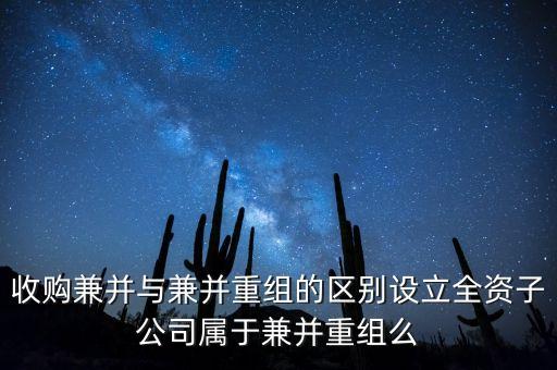 新設(shè)立子公司算什么合并，新設(shè)立1全資子公司算同1控制下合并