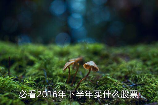 必看2016年下半年買什么股票