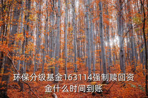 163114什么時候開盤，163114是個什么玩意啊賣也賣不出