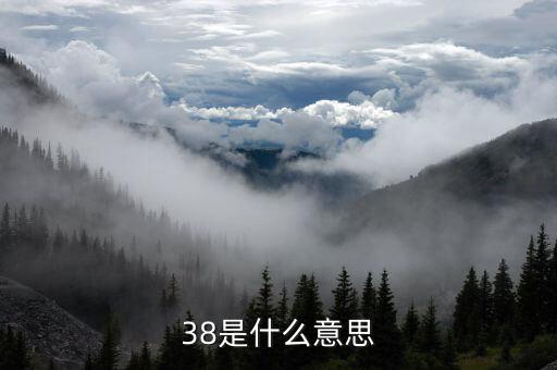 38是什么意思