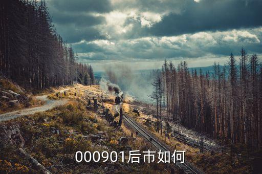 000901屬于什么股票，中國(guó)航天科技集團(tuán)和000901是一個(gè)嗎