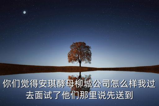 你們覺(jué)得安琪酵母柳城公司怎么樣我過(guò)去面試了他們那里說(shuō)先送到