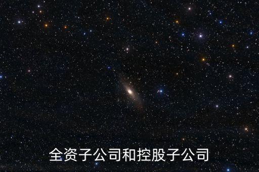 全資控股子公司是什么意思，全資子公司是怎么意思啊