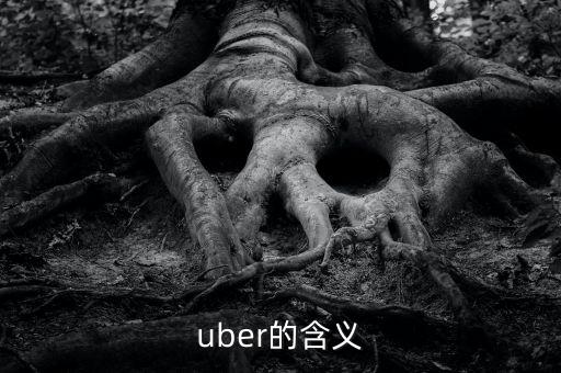 uber的含義