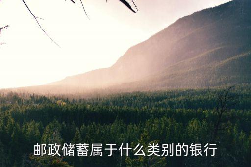 郵政儲(chǔ)蓄屬于什么類(lèi)別的銀行