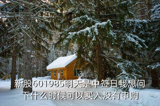 601985什么時候上市的，中國核電什么時候上市中國核電股票代碼多少