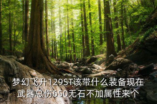 129st要什么裝備，夢幻飛升129ST該帶什么裝備現(xiàn)在武器總傷650無石不加屬性來個