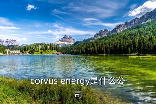 凱富能源是什么公司，corvus energy是什么公司