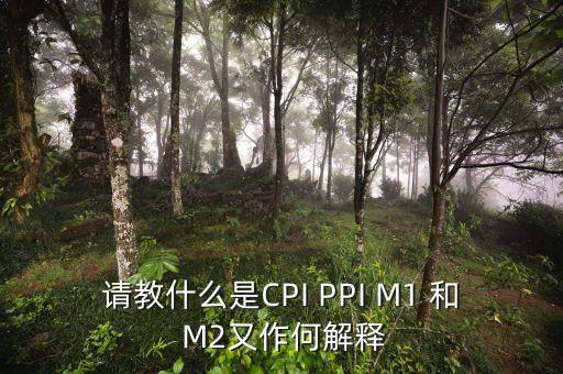 m2指數(shù)是什么，請(qǐng)教什么是CPI PPI M1 和 M2又作何解釋