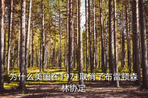 什么取代了布雷頓森林體系，布雷頓森林體系的產(chǎn)生說明了