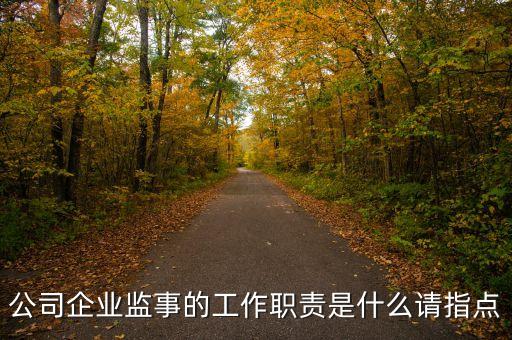 公司企業(yè)監(jiān)事的工作職責(zé)是什么請(qǐng)指點(diǎn)