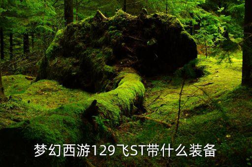 夢幻西游129飛ST帶什么裝備