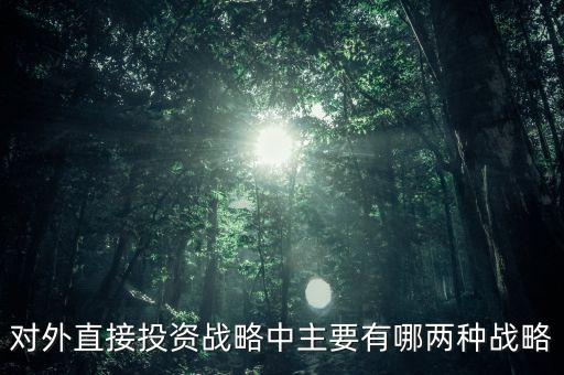 對外直接投資戰(zhàn)略中主要有哪兩種戰(zhàn)略