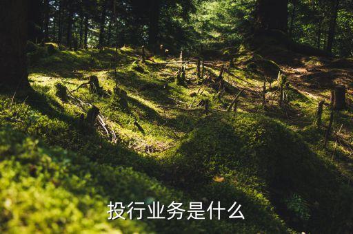 投行業(yè)務(wù)是什么