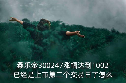 桑樂(lè)金300247漲幅達(dá)到1002已經(jīng)是上市第二個(gè)交易日了怎么