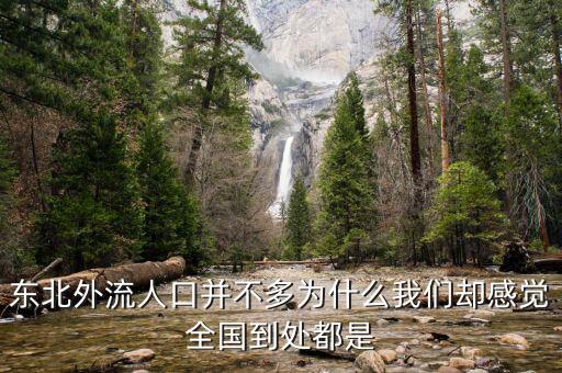 東北外流人口并不多為什么我們卻感覺全國到處都是