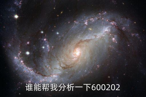 誰能幫我分析一下600202