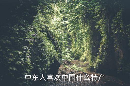 中東人喜歡中國什么特產(chǎn)