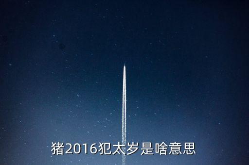 2016年犯什么星辰表，1974年的人在2016年犯太陽星嗎