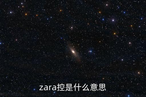 普邦金控是什么，zara控是什么意思