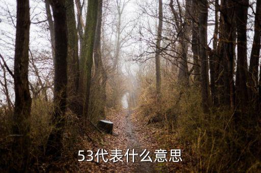 發(fā)紅包53代表什么意思，53代表什么意思