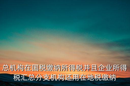 總機構(gòu)在國稅繳納所得稅并且企業(yè)所得稅匯總分支機構(gòu)還用在地稅繳納