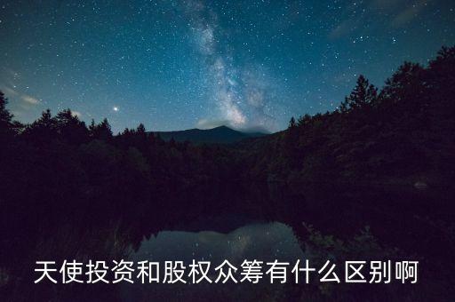 天使投資和股權(quán)眾籌有什么區(qū)別啊