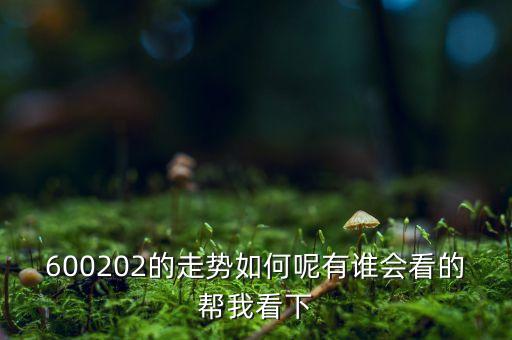 600202有什么概念，誰能幫我分析一下600202