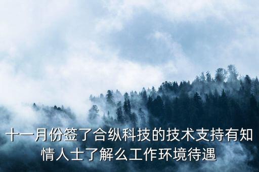 合縱科技是做什么的，合縱科技在那個(gè)開發(fā)區(qū)