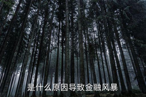 是什么原因?qū)е陆鹑陲L(fēng)暴