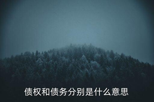 bsp票款債權(quán)是什么，銀行理財業(yè)務里面的liborbsp是什么意思