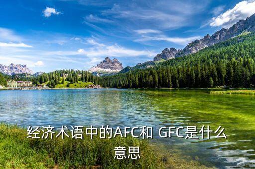 經(jīng)濟術(shù)語中的AFC和 GFC是什么意思