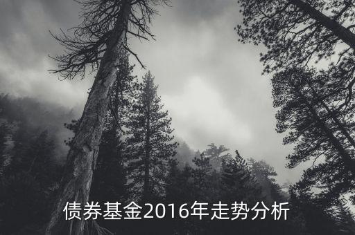 2016年的債券的投資的方向是什么，債券基金2016年走勢分析