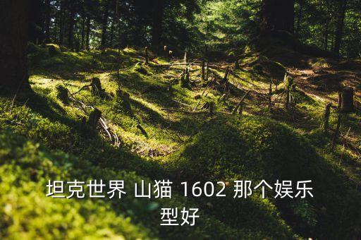 坦克世界 山貓 1602 那個(gè)娛樂(lè)型好