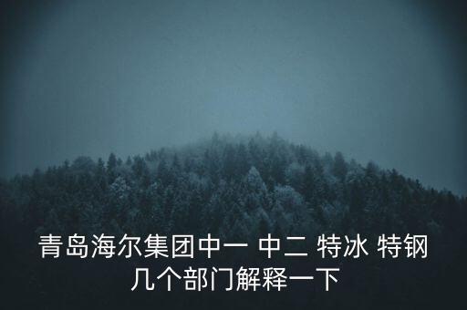 海爾內(nèi)銷是什么意思，有帶鎖的冰箱么冷藏冷凍功能都要有的謝謝