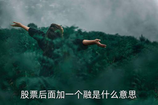 什么是一融雙新，股票后面加一個融是什么意思