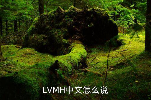 LVMH和LV是什么關(guān)系啊，LVMH是全球五百強嗎