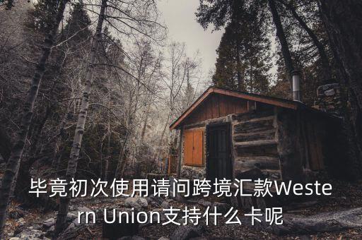 什么是西聯(lián)，畢竟初次使用請(qǐng)問跨境匯款Western Union支持什么卡呢