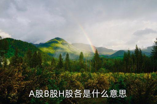 A股B股H股各是什么意思