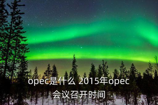 什么是opec會(huì)議，OPEC石油會(huì)議是什么時(shí)候召開啊石油價(jià)格會(huì)受影響嗎