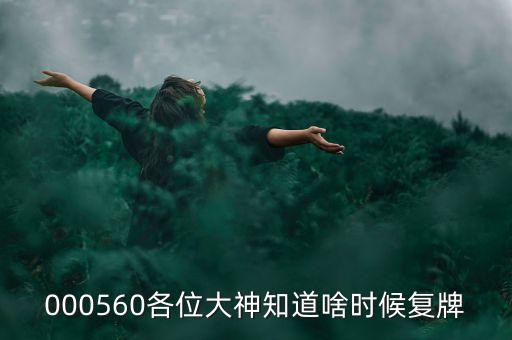 精功科技什么時(shí)候復(fù)牌，000560各位大神知道啥時(shí)候復(fù)牌