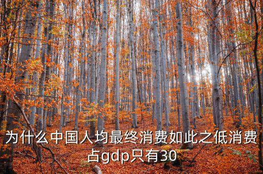 為什么中國(guó)人均最終消費(fèi)如此之低消費(fèi)占gdp只有30