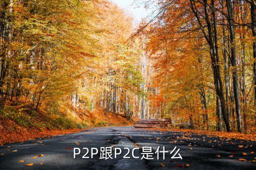 p2c平臺(tái)是什么，什么是P2P什么是P2C