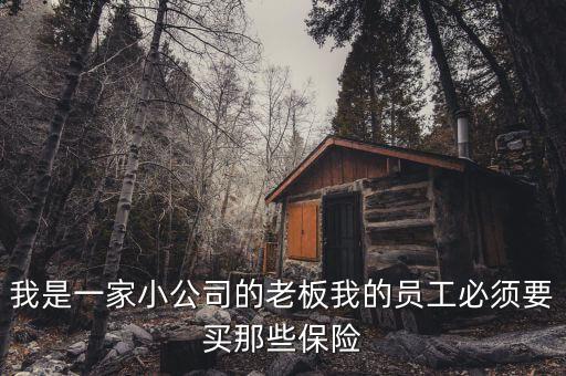 我是一家小公司的老板我的員工必須要買那些保險(xiǎn)