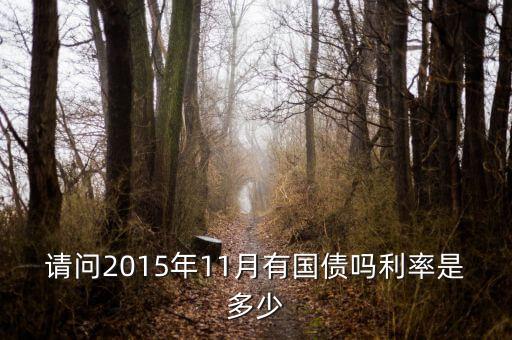 201511月發(fā)行什么國(guó)債，請(qǐng)問(wèn)2015年11月有國(guó)債嗎利率是多少